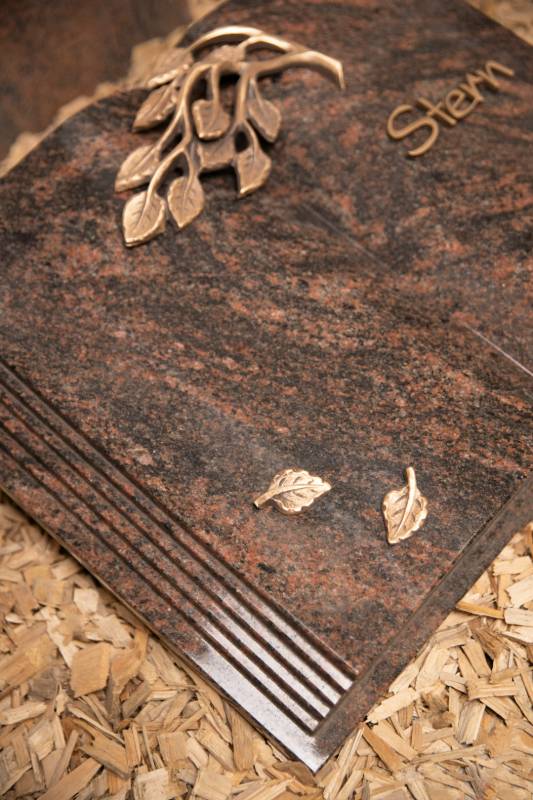 Aufgeschlagenes Buch ,,Stern" mit Bronzezweig und Blätter - Ansicht 3